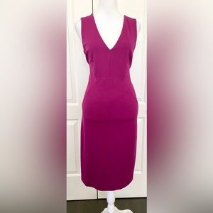 NWOT Ann Taylor Factory Midi Dress - Magenta